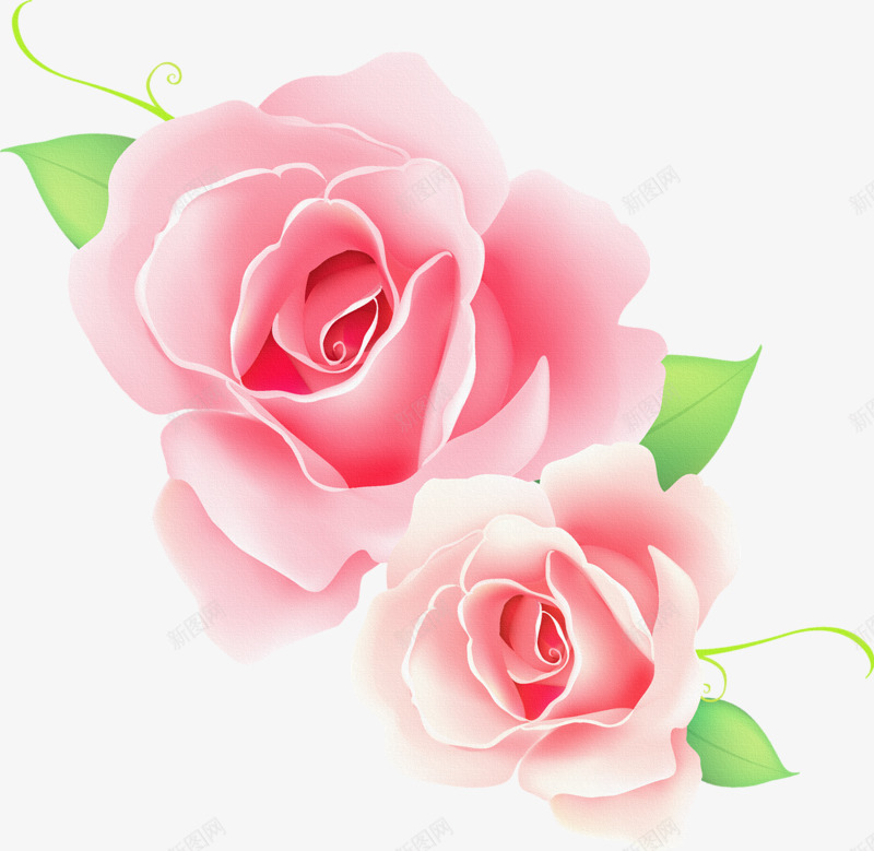 粉红玫瑰花装饰png免抠素材_88icon https://88icon.com 图片 玫瑰花 粉红 装饰