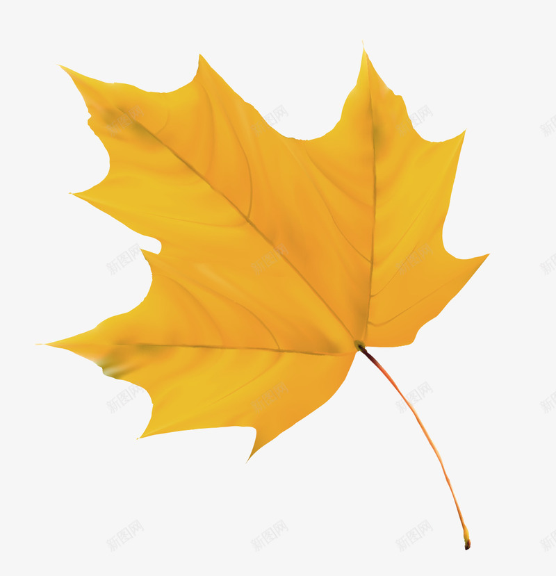 缤纷秋叶png免抠素材_88icon https://88icon.com 叶子 枫叶 树叶 秋季