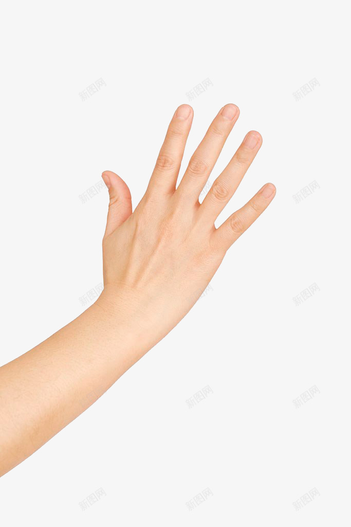 手势手png免抠素材_88icon https://88icon.com 5 五 左右手 手势 手掌
