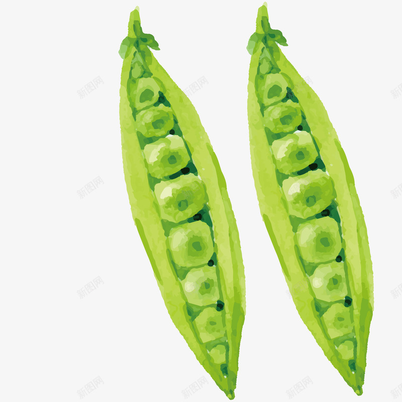 绿色豌豆矢量图eps免抠素材_88icon https://88icon.com 喷绘 墙体喷绘图 宣传单 树藤 水彩 海报 矢量图 矢量绿色豌豆 蔬菜 颗粒