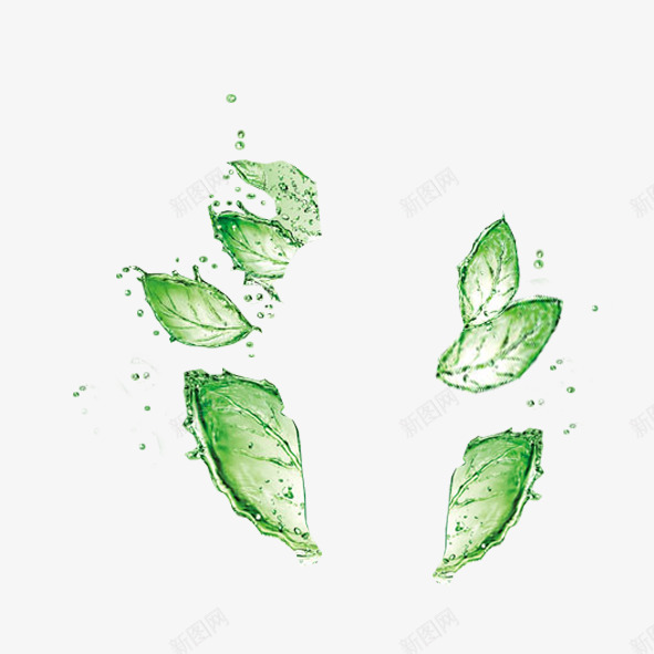 树叶漂水珠png免抠素材_88icon https://88icon.com 树叶 水滴 水珠 泼水 绿色