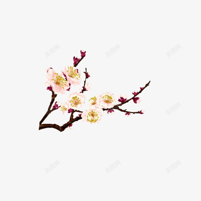 一剪梅png免抠素材_88icon https://88icon.com 一枝梅花 中国风 梅花