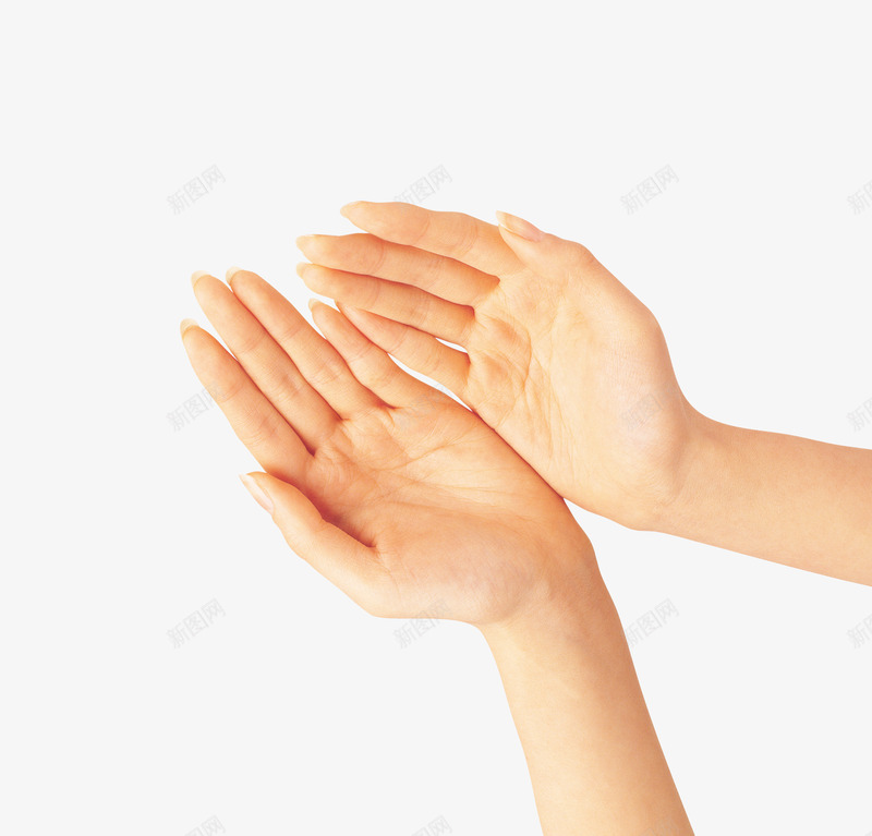 手png免抠素材_88icon https://88icon.com 双手 左右手 手 手势 托起 捧起