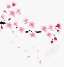 红色创意手绘图案造型粉红色的桃花png免抠素材_88icon https://88icon.com 创意 桃花 粉红色 红色 绘图 造型