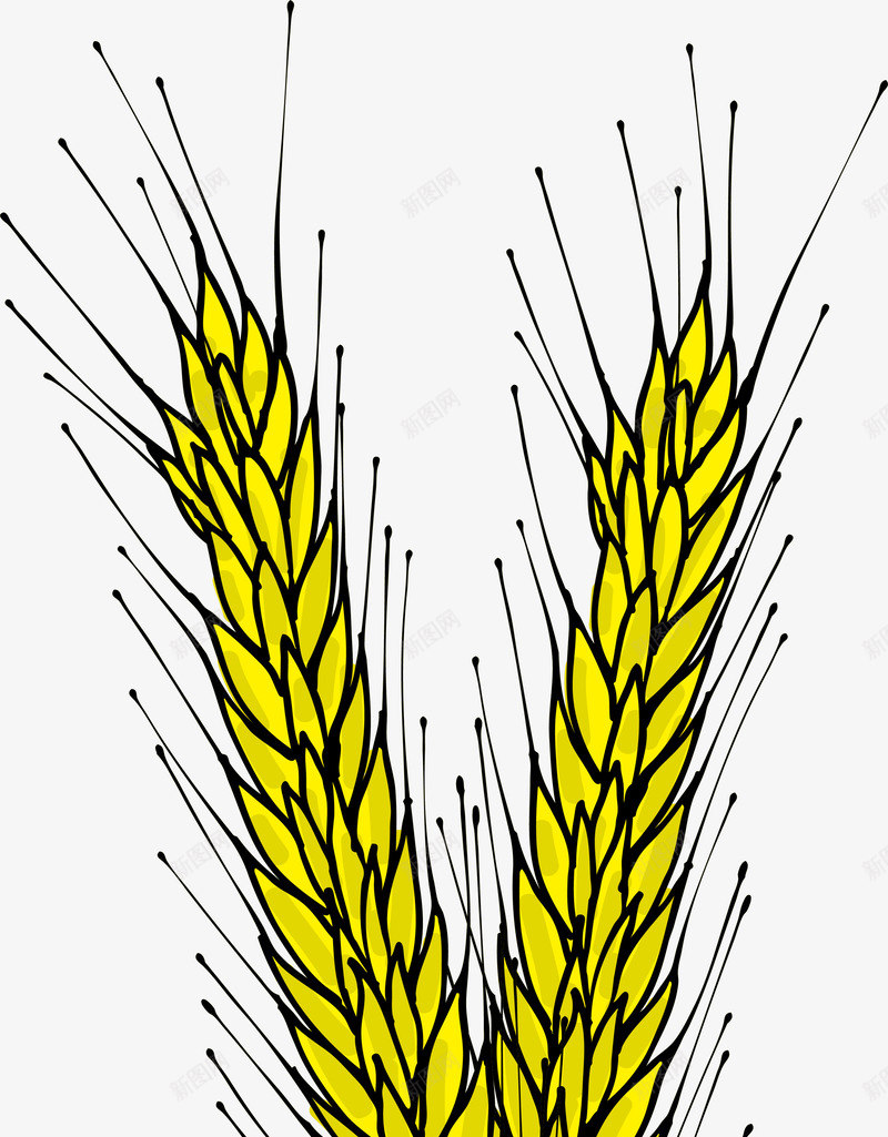手绘黄色稻穗png免抠素材_88icon https://88icon.com 手绘稻穗 水彩 粮食 金色麦穗 黃色稻穗 黄色稻穗 黄色稻谷 黑色线条