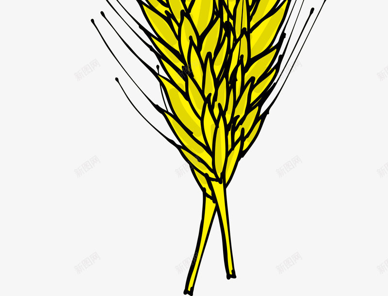 手绘黄色稻穗png免抠素材_88icon https://88icon.com 手绘稻穗 水彩 粮食 金色麦穗 黃色稻穗 黄色稻穗 黄色稻谷 黑色线条