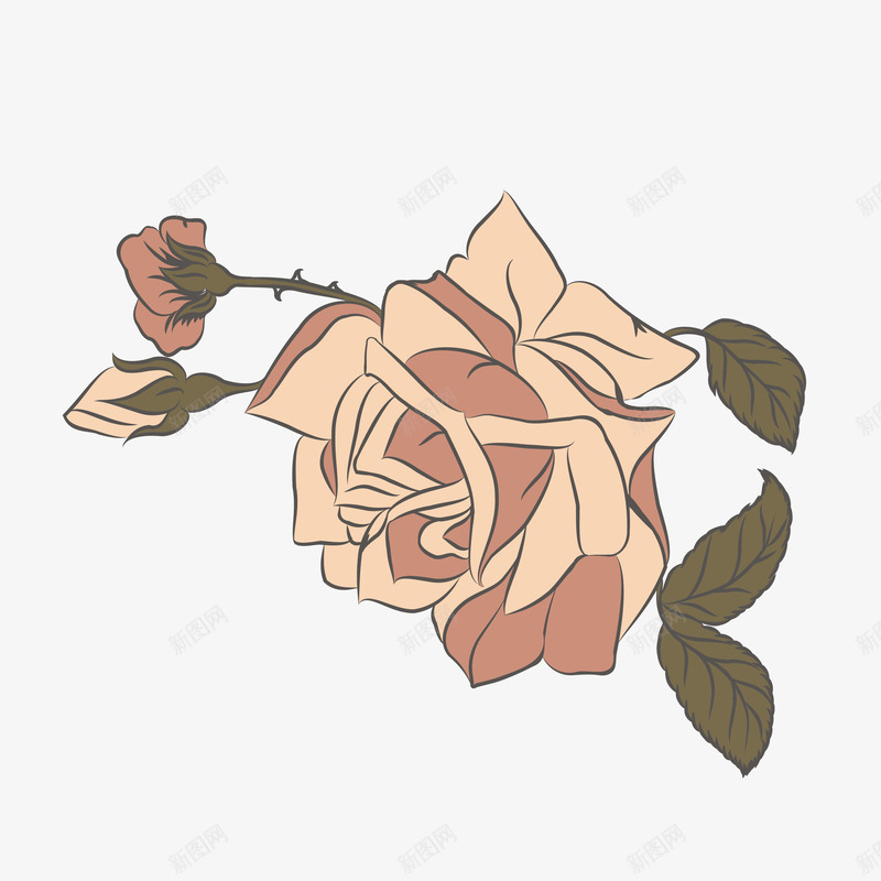 蔷薇花朵png免抠素材_88icon https://88icon.com 复古 手绘 文艺 粉红色
