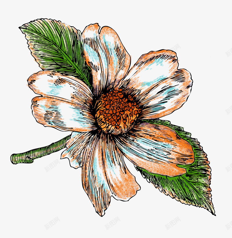 手绘花卉分层主图png免抠素材_88icon https://88icon.com 分层 花卉