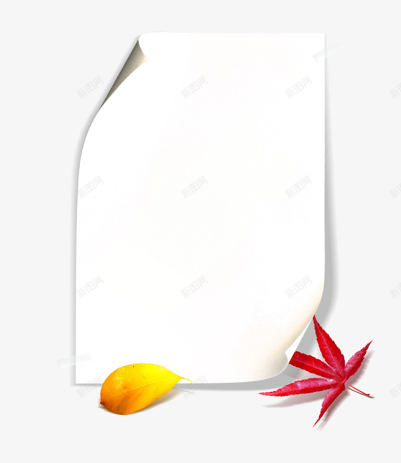 枫叶红色纸张psd免抠素材_88icon https://88icon.com 叶子免扣素材 枫叶 枫叶免扣 枫叶免扣ps素材 秋叶png素材 秋季 秋季元素 红色 红色枫叶ps 红色枫叶ps素材 纸张
