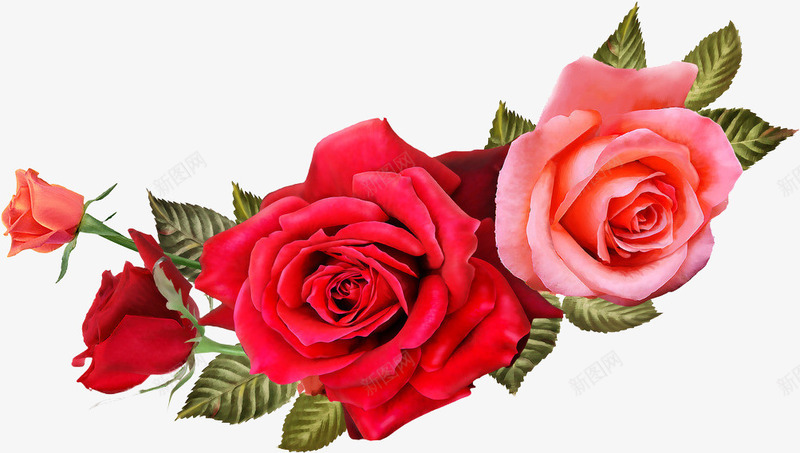 粉红色清新鲜艳花朵png免抠素材_88icon https://88icon.com 清新 粉红色 花朵 鲜艳