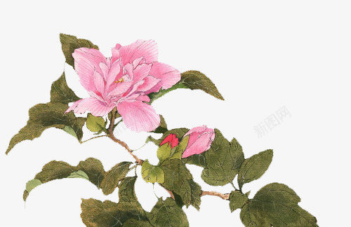花枝中国风漂浮古风png免抠素材_88icon https://88icon.com 中国风 古风 漂浮 素材 花枝 首页