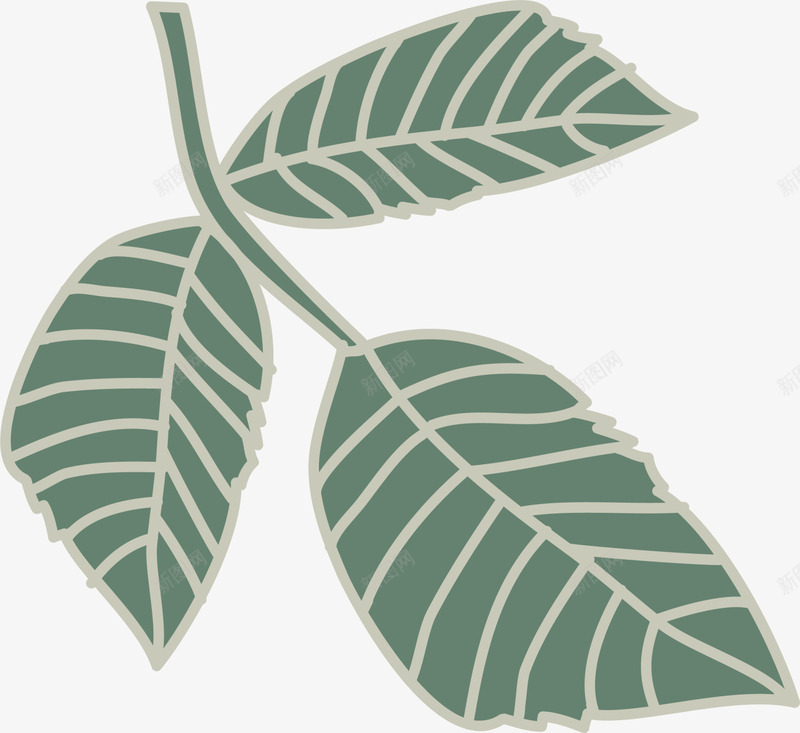 手绘绿色叶子枝条png免抠素材_88icon https://88icon.com 手绘叶子 水彩 简约 纹路 绿色叶子 绿色枝条