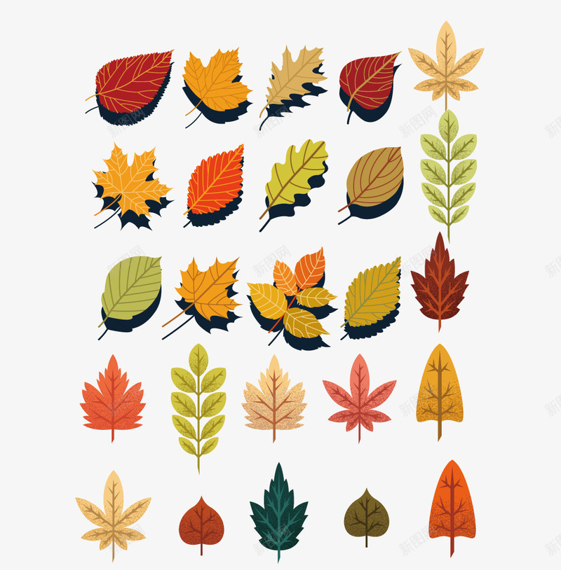 秋叶集合png免抠素材_88icon https://88icon.com 叶子 枫叶 树叶 梧桐叶 秋叶