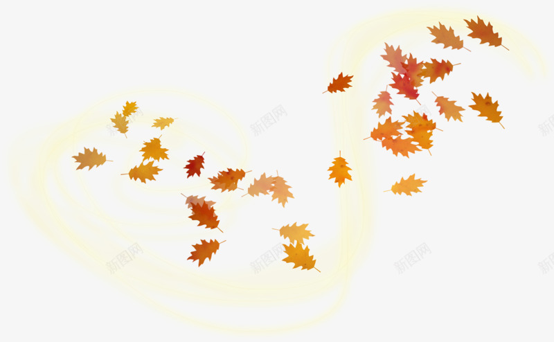 飘落的枫叶png免抠素材_88icon https://88icon.com 枫叶 树叶 秋天 金环