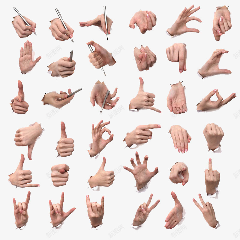 拿笔手势大全png免抠素材_88icon https://88icon.com 创意 大拇指 拿笔姿势