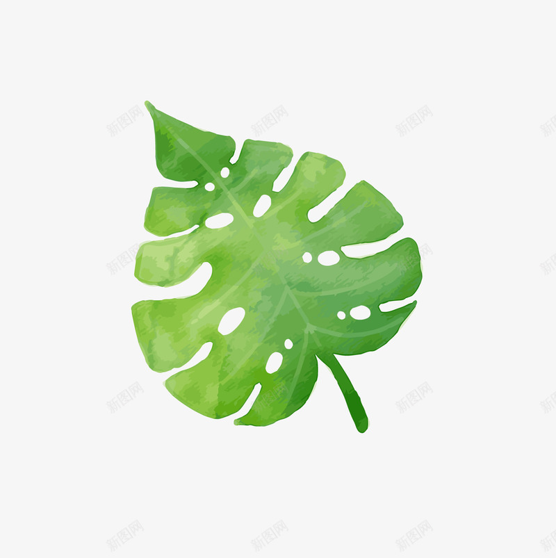 手绘夏季小清新叶子植物png免抠素材_88icon https://88icon.com 夏季植物 小清新植物 手绘 绿色叶子 背景装饰