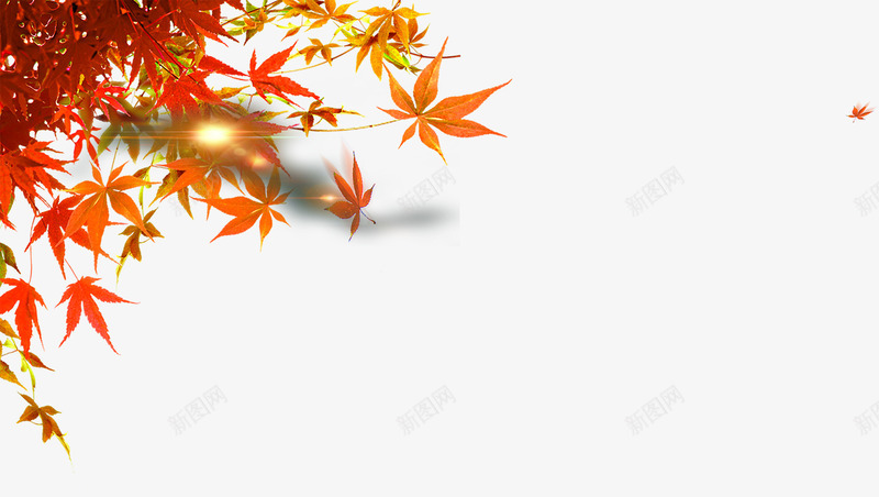 左上黄色枫叶带亮光png免抠素材_88icon https://88icon.com 亮光 左上 枫叶 黄色