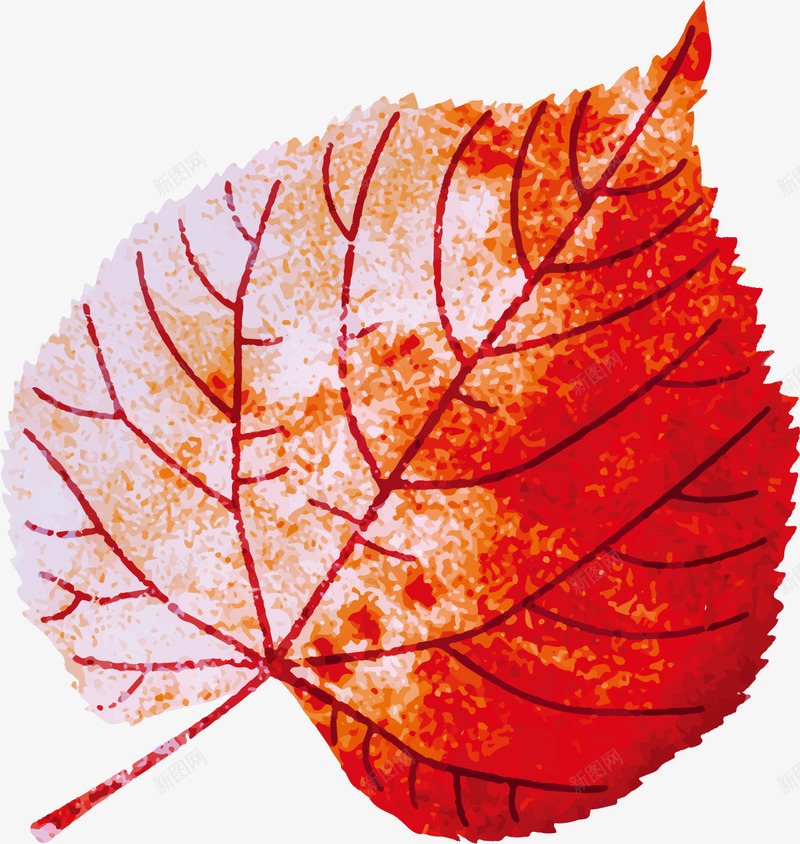 秋天植物树叶png免抠素材_88icon https://88icon.com 叶子 平面 彩绘 手绘 树叶 植物 秋天 秋季 红色
