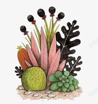 卡通多肉组合png免抠素材_88icon https://88icon.com 卡通 多肉 多肉植物 多肉组合 彩铅 手绘 植物 水墨 水彩