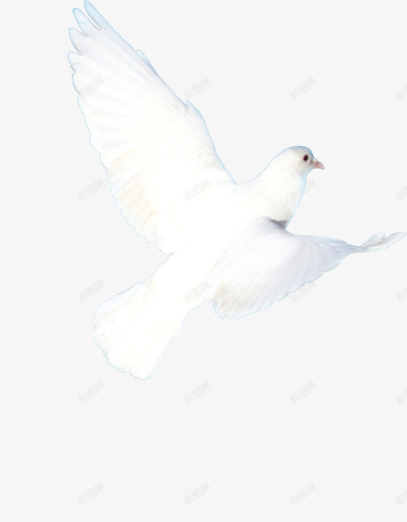 飞翔的小鸟png免抠素材_88icon https://88icon.com PNG PNG素材 候鸟 免费PNG素材 免费素材 手绘 白色