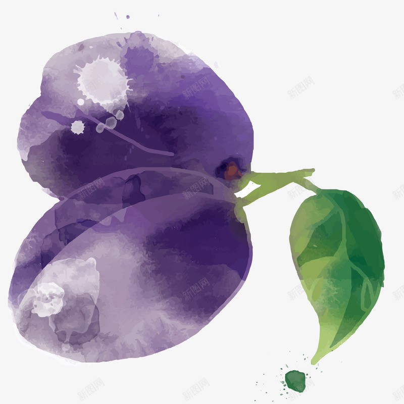 新鲜李子水彩插画矢量图ai免抠素材_88icon https://88icon.com 丰收 新鲜李子水彩插画 李子 果园 水果 秋天 矢量图