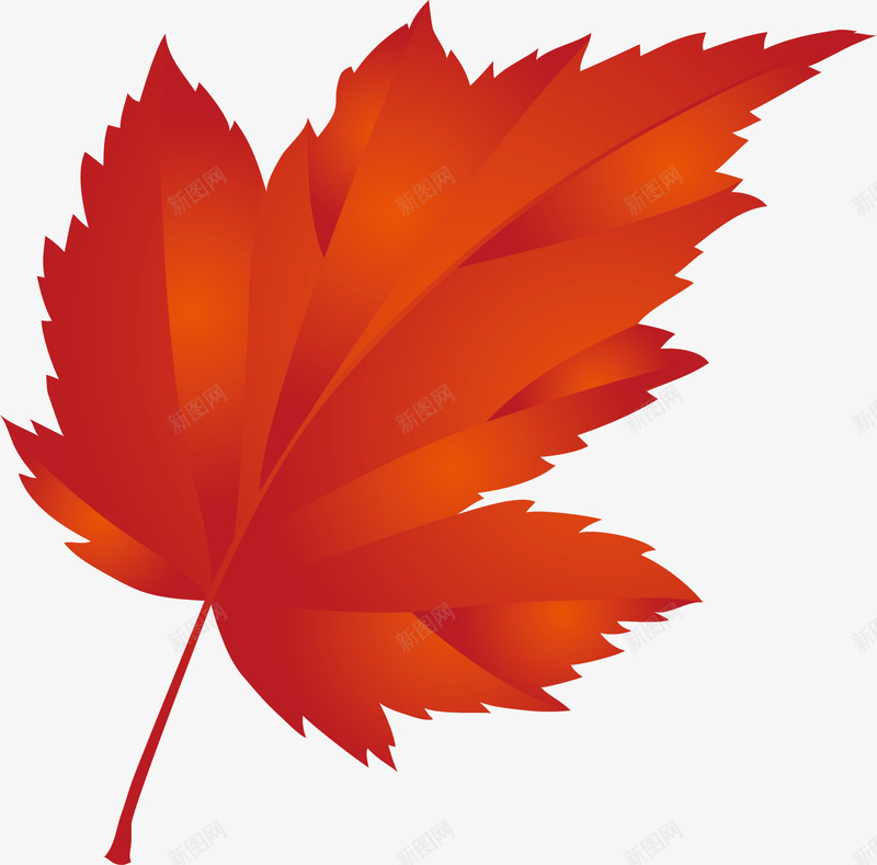 唯美红色枫叶png免抠素材_88icon https://88icon.com 唯美枫叶 小清新叶子 红色光晕 红色叶子 红色枫叶 质感