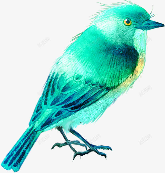 手绘动物虫鸟水彩小鸟png免抠素材_88icon https://88icon.com 动物 动物元素 小鸟 手绘动物元素 手绘动物图片 手绘虫鸟 水彩风 虫鸟插画