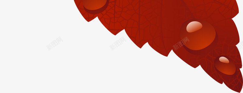 树叶吊牌png免抠素材_88icon https://88icon.com 叶子 树叶 植物 田园风 秋天 秋季