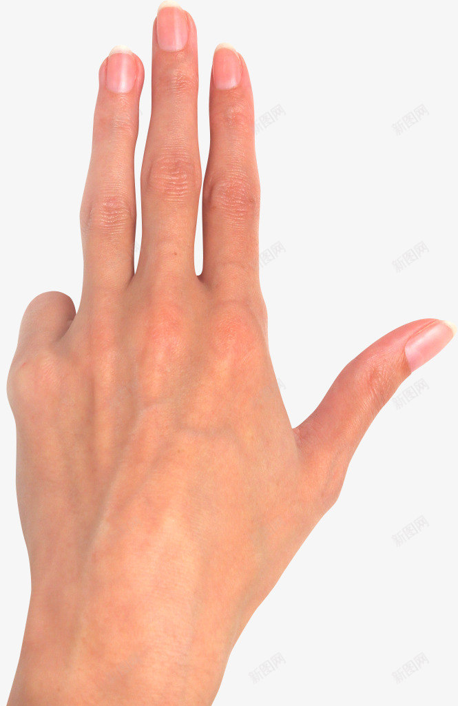 交互手势png免抠素材_88icon https://88icon.com 交互手势 手 手势 手指 手掌