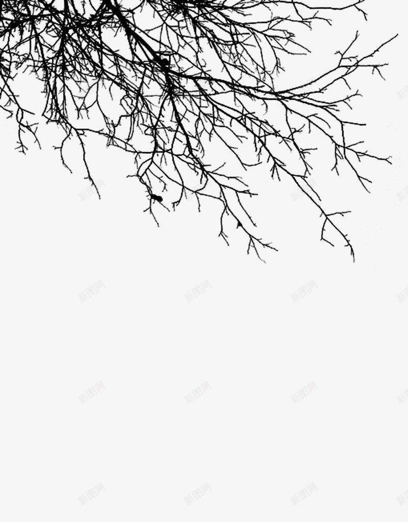 树枝水墨画中国画png免抠素材_88icon https://88icon.com 中国画 树枝 水墨画