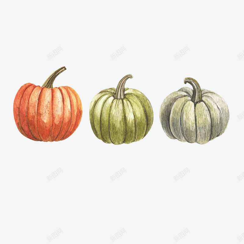 橘色绿色南瓜手绘png免抠素材_88icon https://88icon.com 圆形南瓜 插画 收获 秋天