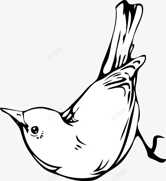 小鸟矢量图eps免抠素材_88icon https://88icon.com 可爱小鸟 小鸟 手绘 燕子 线条 矢量图