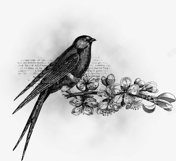 桃花枝上的小鸟png免抠素材_88icon https://88icon.com 小鸟 手绘 桃花 花朵