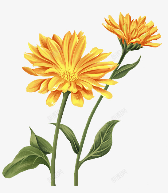 卡通黄花绿叶装饰png免抠素材_88icon https://88icon.com 促销装饰 卡通黄花装饰 女装店铺装饰 淘宝黄花绿叶 清新主题 电商 电铺装饰