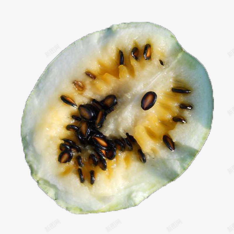 大西北甘肃籽瓜png免抠素材_88icon https://88icon.com 冬季 大板瓜子 大西北 水果 瓜果 甘肃 甘肃特产 籽瓜
