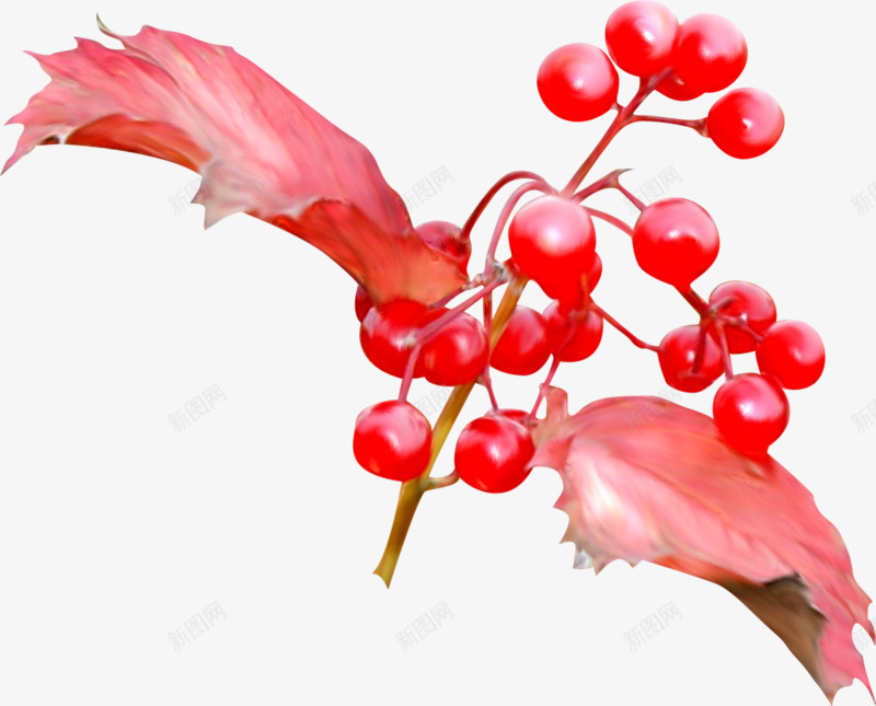 一串樱桃png免抠素材_88icon https://88icon.com 一串 叶子 手绘 樱桃 简图 红色