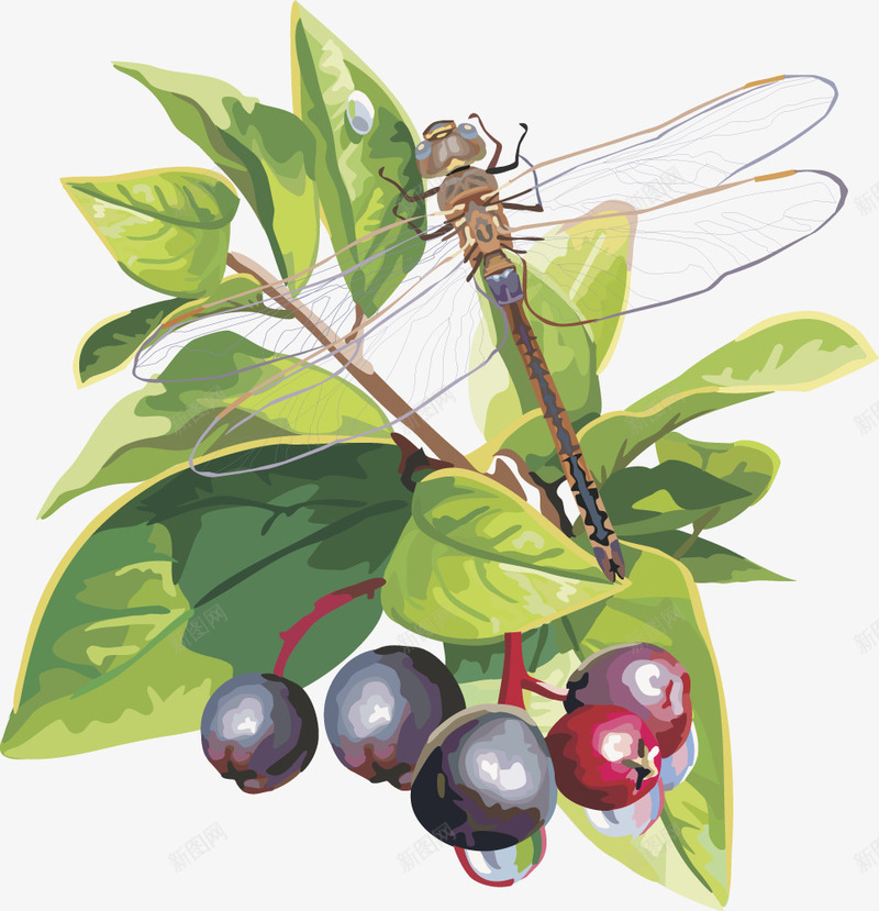 水果樱桃树莓png免抠素材_88icon https://88icon.com 樱桃 水果免抠 水果手绘 水果矢量图 矢量图水果樱桃树莓 蓝莓 车厘子