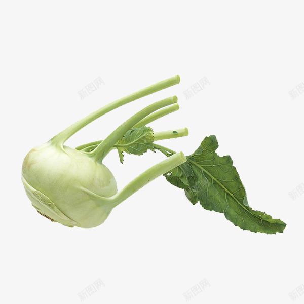 带叶大头菜png免抠素材_88icon https://88icon.com 大头菜 新鲜蔬菜 蔬菜