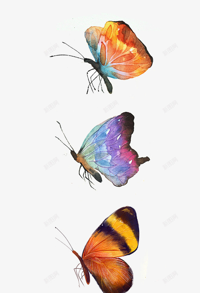 漂亮的彩色蝴蝶png免抠素材_88icon https://88icon.com 唯美 紫色蝴蝶 翅膀 飞行动物