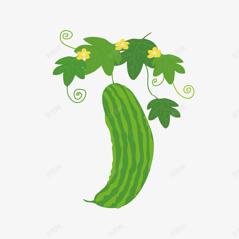 卡通丝瓜矢量图ai免抠素材_88icon https://88icon.com PNG图 PNG图下载 丝瓜 创意卡通 卡通 卡通插图 处暑 插图 蔬菜 矢量图