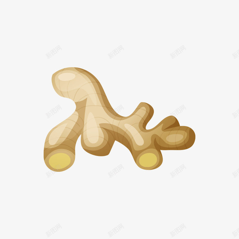 蔬菜厨房食材png免抠素材_88icon https://88icon.com 佐料 厨房食材 姜 美食 蔬菜 配料 食物