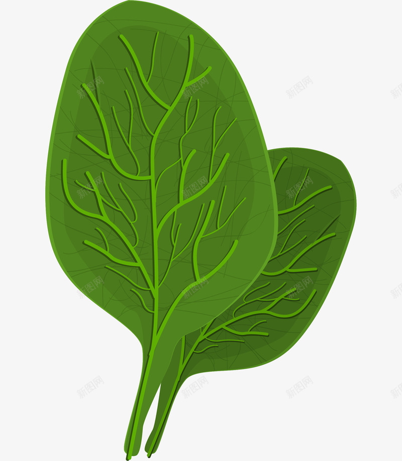 卡通手绘蔬菜装饰海报叶子png免抠素材_88icon https://88icon.com 卡通植物插画 卡通装饰 小清新插画 广告设计 海报设计 美食 蔬菜 蔬菜插画 青菜