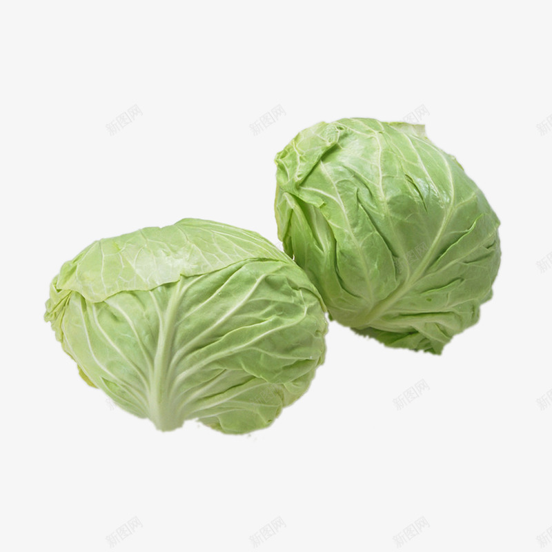 卷心菜png免抠素材_88icon https://88icon.com 卷心菜 圆白菜 新鲜蔬菜 高丽菜