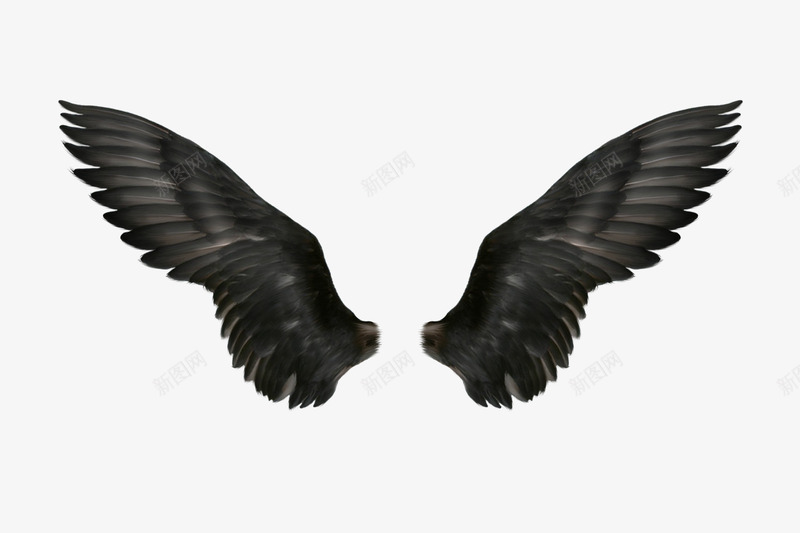 黑色羽翼翅膀png免抠素材_88icon https://88icon.com 地狱恶魔 堕落 天使与魔鬼 恶魔 羽翼 翅膀 魔鬼 黑翅膀 黑色 黑色翅膀
