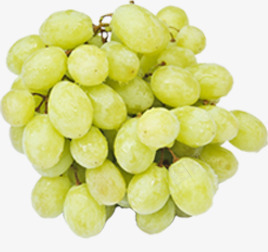 青色葡萄马奶提新鲜png免抠素材_88icon https://88icon.com 新鲜 葡萄 青色