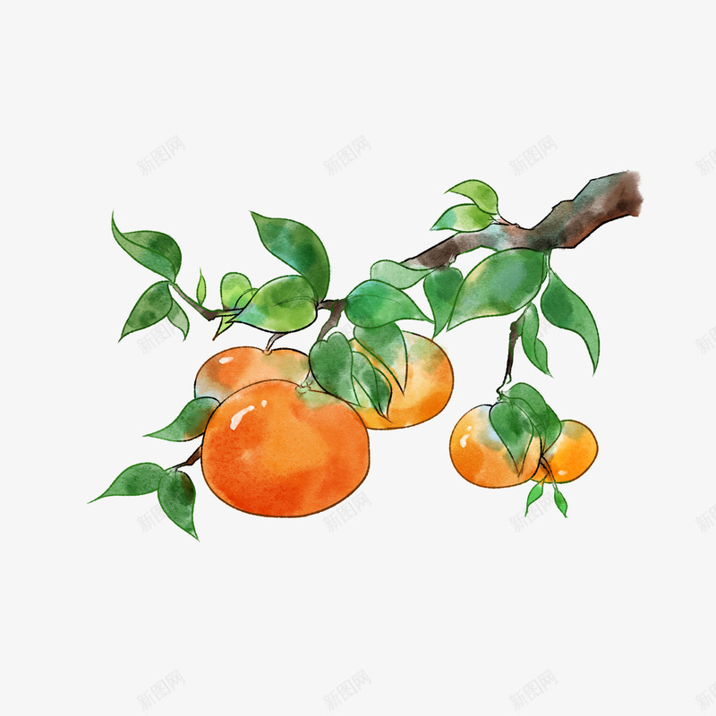 好吃的水果蔬菜元素png免抠素材_88icon https://88icon.com 水果 美味 美食 蔬菜