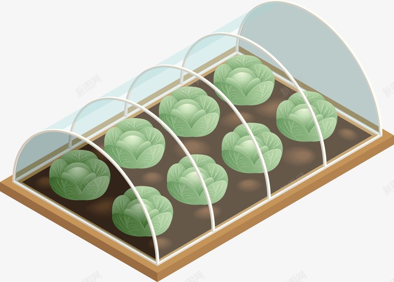 白色大棚蔬菜矢量图eps免抠素材_88icon https://88icon.com 大棚 大棚蔬菜 爱心蔬菜 矢量图 矢量蔬菜 绿色蔬菜 菜类图片 蔬菜 蔬菜PNG