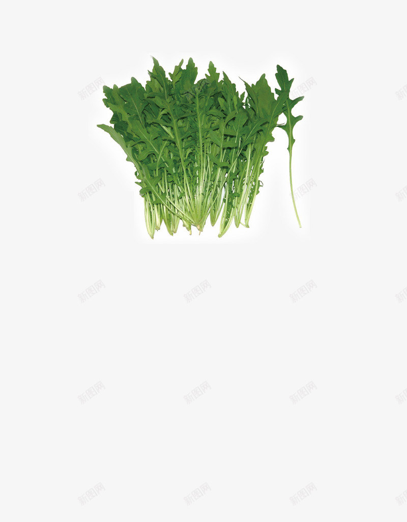 茼蒿蔬菜png免抠素材_88icon https://88icon.com 茼蒿蔬菜