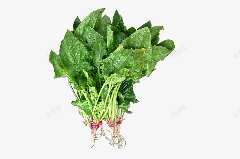 绿色食品蔬菜psd免抠素材_88icon https://88icon.com psd 绿色 绿色食品 蔬菜 蔬菜俯视