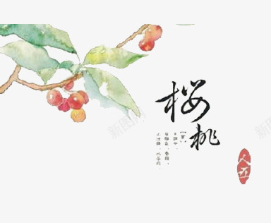 樱桃清新手绘中国风png免抠素材_88icon https://88icon.com 中国风 手绘 樱桃 水彩